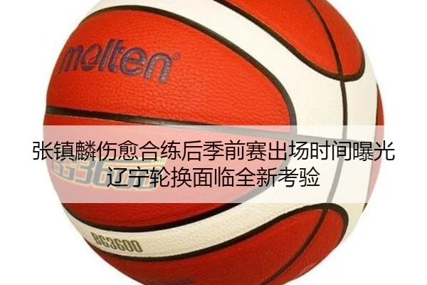 张镇麟伤愈合练后季前赛出场时间曝光辽宁轮换面临全新考验